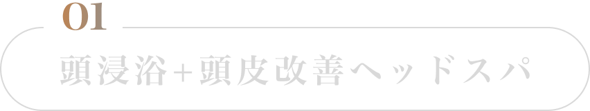 頭浸浴+頭皮改善ヘッドスパ