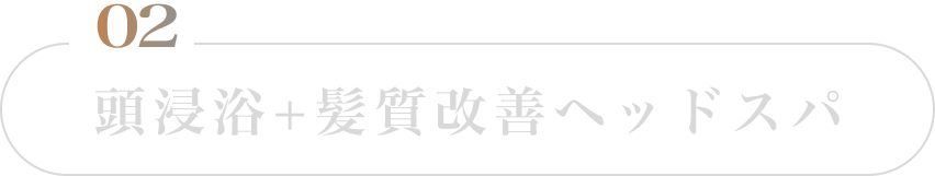 頭浸浴+髪質改善ヘッドスパ